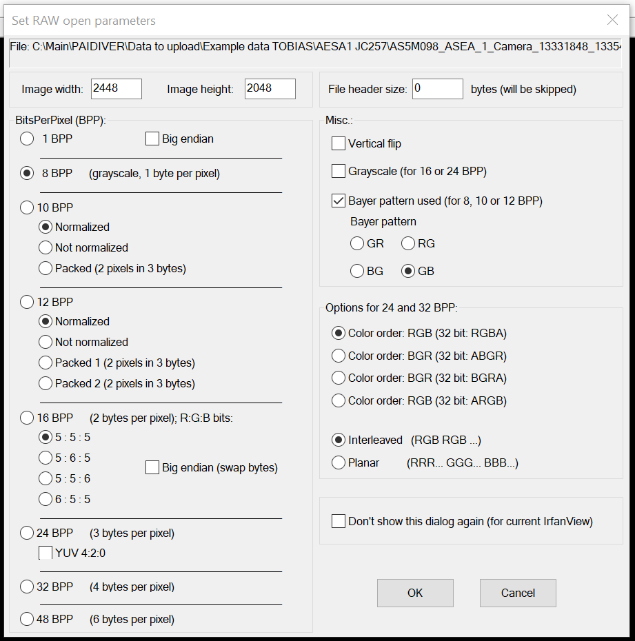 IrfanView Raw Options